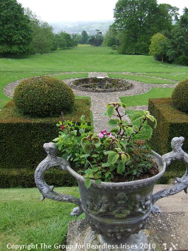 Knightshayes (11)